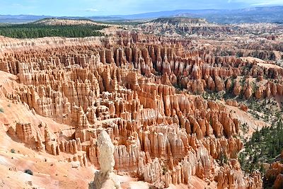 Voyage Parcs de l'ouest et Rocheuses