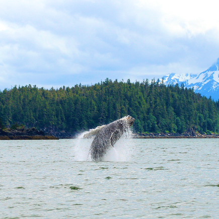 Autotour Etats-Unis Alaska