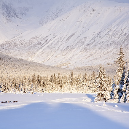 Multi-activités Etats-Unis Alaska