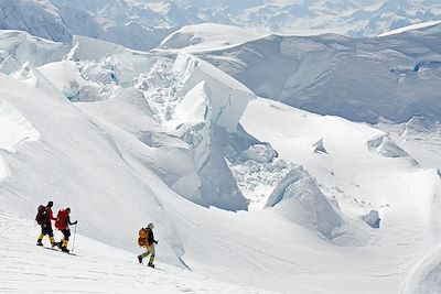 Parc national de Denali - Alaska - Etats-Unis
