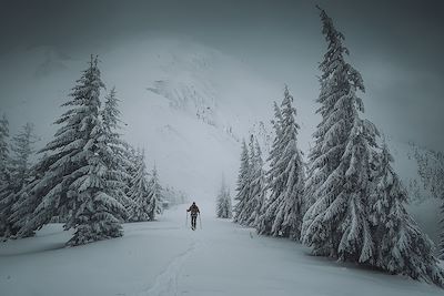 Randonnée sous la neige - Alaska - Etats-Unis