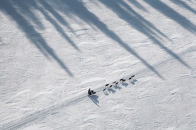 Traîneau à chiens -  Alaska - Etats-Unis
