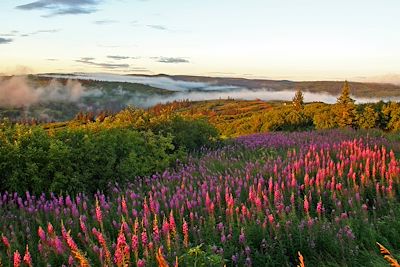 © All Alaska Tours - Alaska Alaska