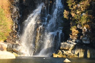Cascade - Péninsule de Kenai - Alaska - États-Unis 