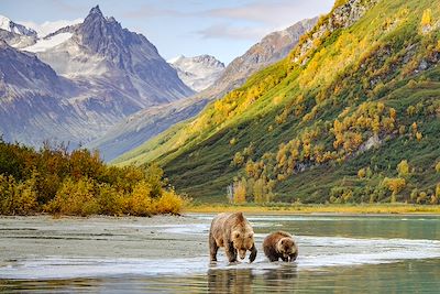 Ourse et ourson au Lake Clark National Park - Alaska - 
