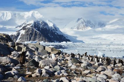 Péninsule Antarctique à bord du Persévérance
