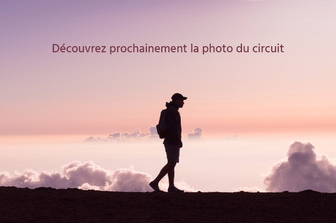 Voyage Réveillon au cœur de la Laponie finlandaise