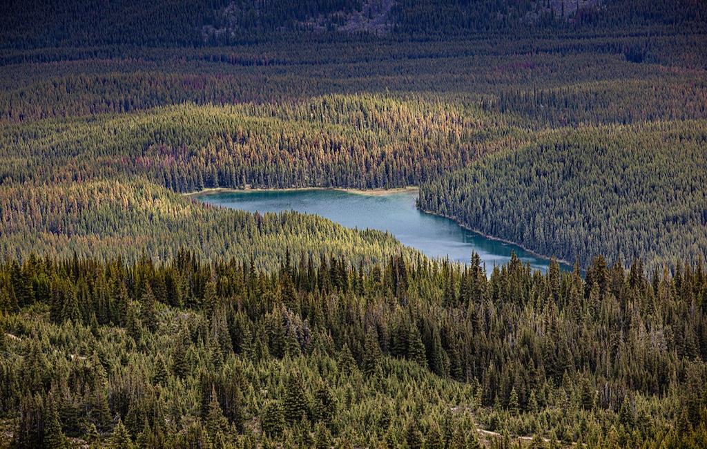 10 expériences à vivre dans l’ouest canadien