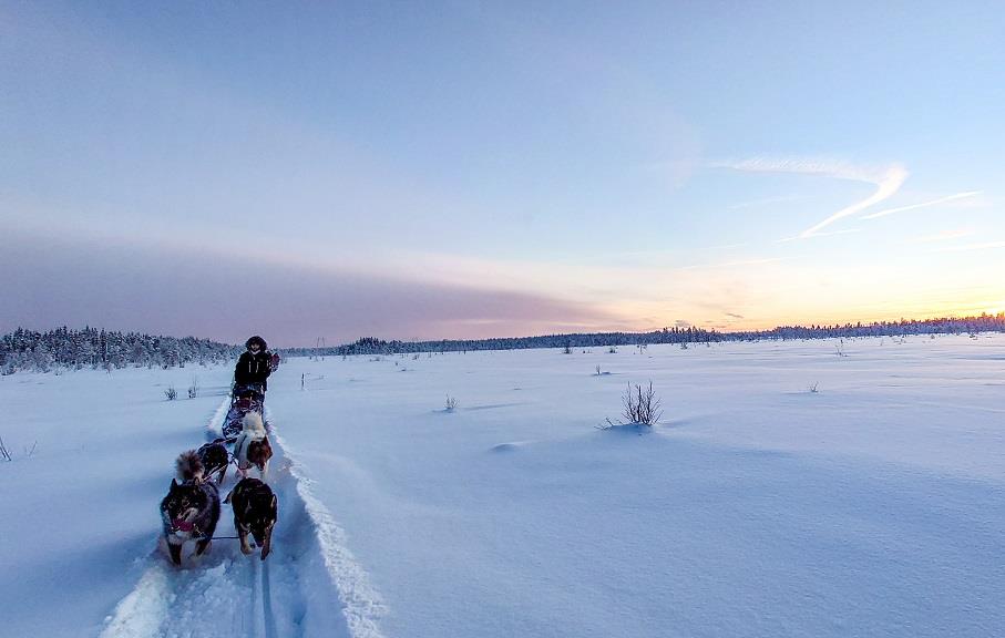 “Quand les chiens sont lancés, ils ne s’arrêtent plus” 