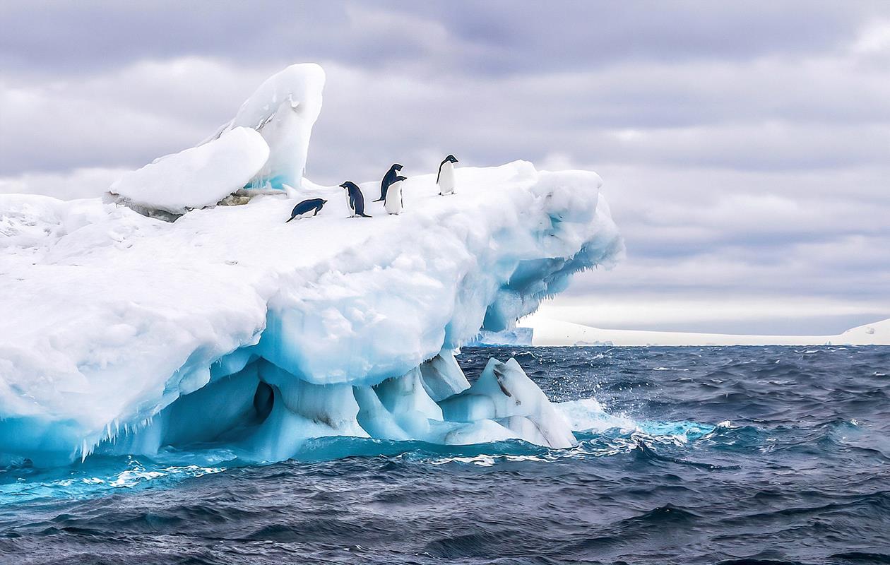 Ma planète Antarctique 