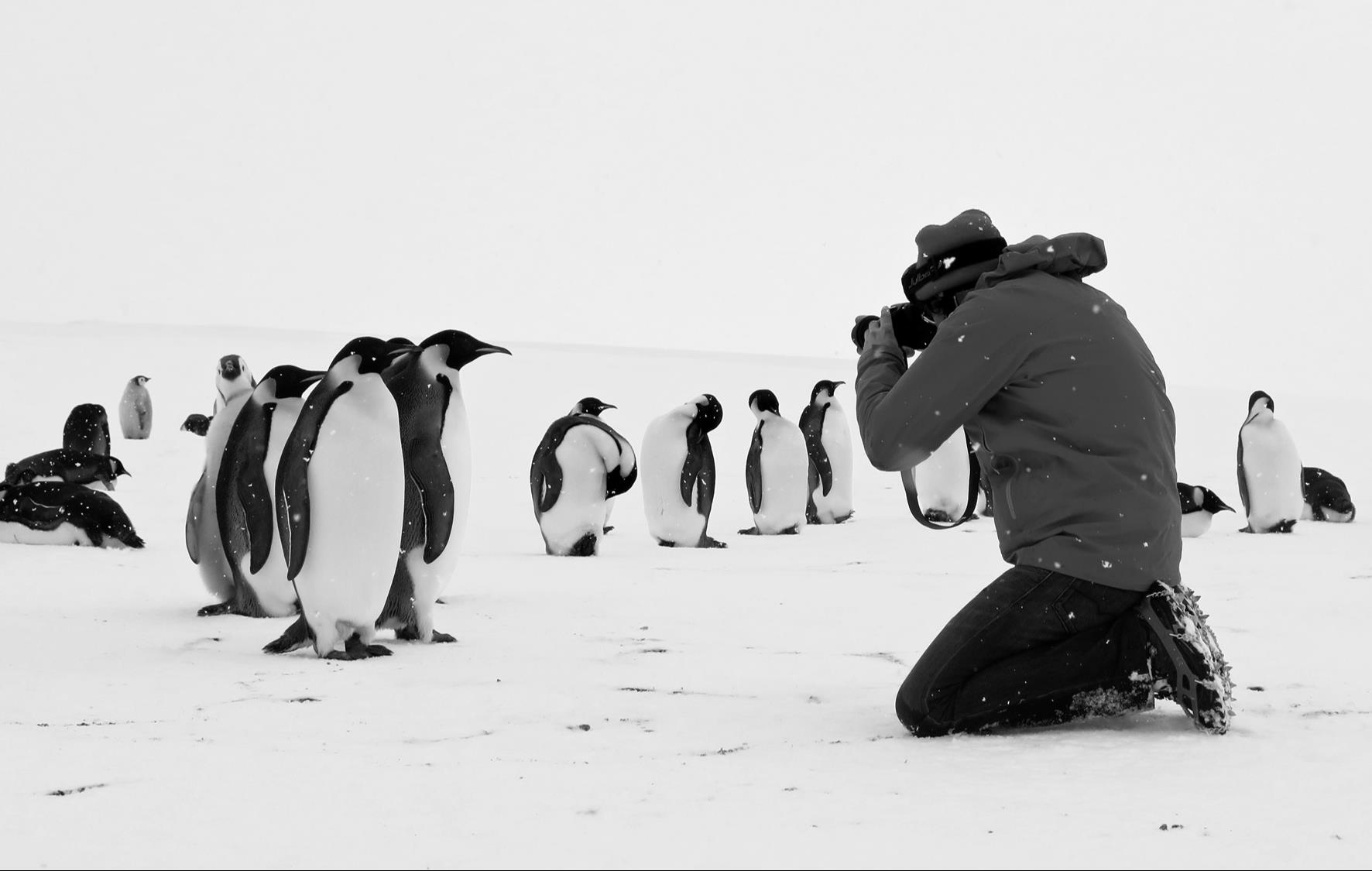 Luc Jacquet : “Quand on parle de l’Antarctique, on touche vite à l’universel” 