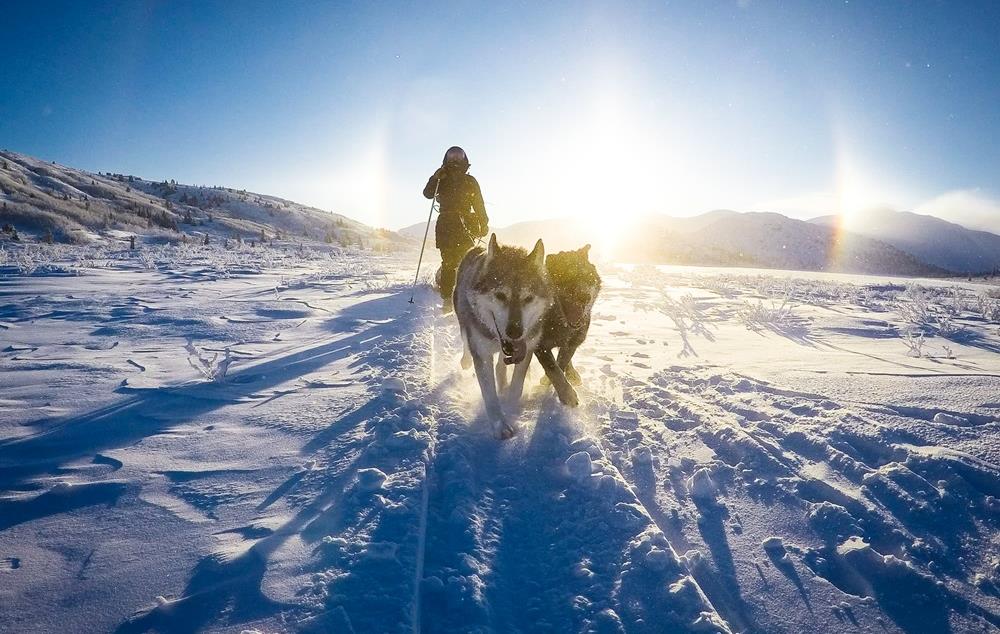 Yukon, le vent de liberté