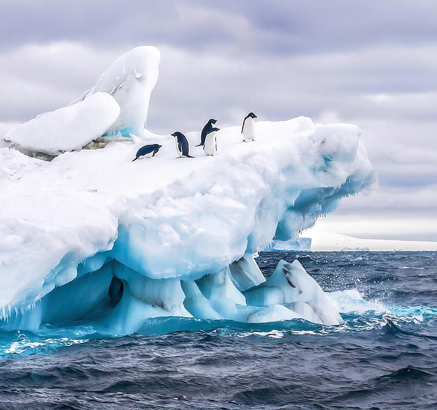 Ma planète Antarctique 