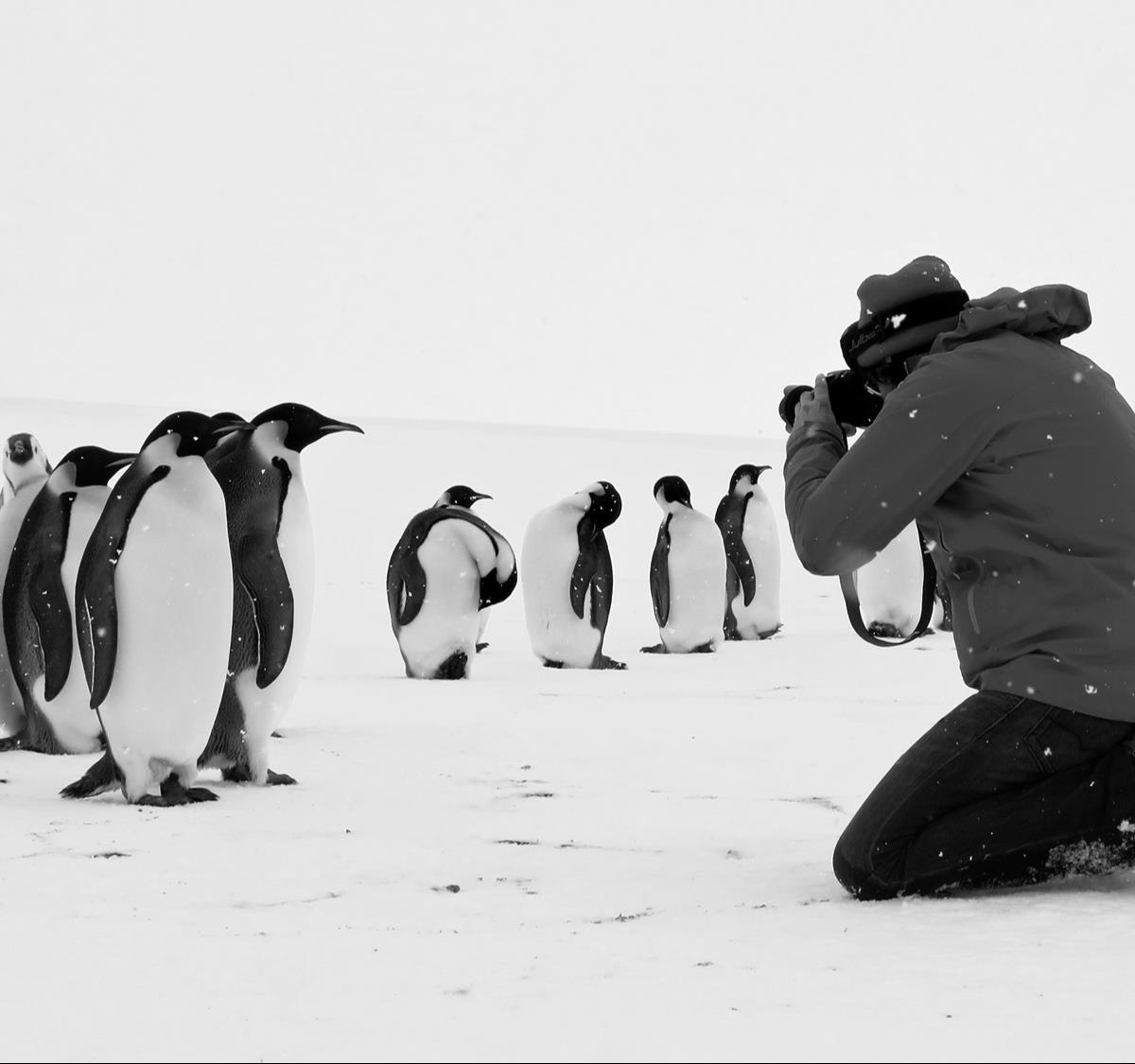 Luc Jacquet : “Quand on parle de l’Antarctique, on touche vite à l’universel” 