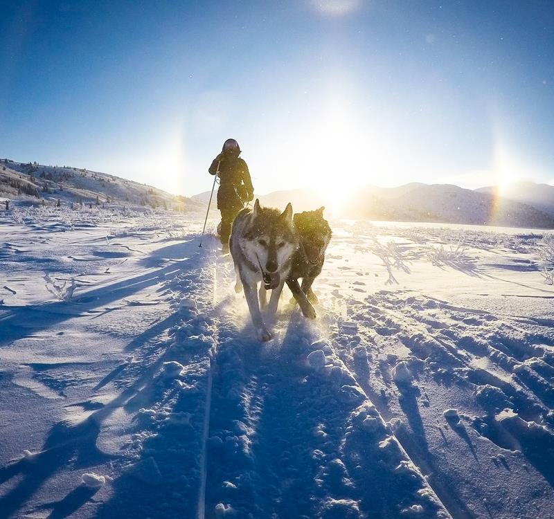 Yukon, le vent de liberté