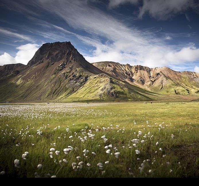 Charte pour un tourisme responsable en Islande